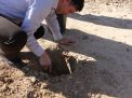 گزارش تصویری مراسم روز درخت کاری و تقدیر از نیروهای باغبانی دانشگاه